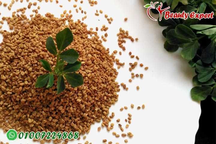 فوائد الحلبة المطحونة