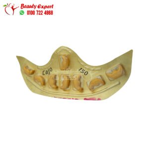 Indian cashew erection pills